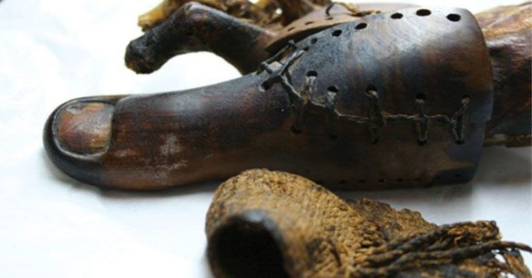 Image of an Ancient Prosthesis - a faux-toe known as the Cairo Toe or the Greville Chester Great Toe by Matjaž Kačičnik. Aesthetic Prosthetics Inc. API